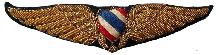 Знак Пилот 
