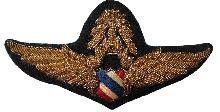 Знак Master pilot