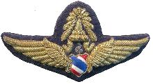 Знак Master pilot
