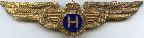 Знак Pilot