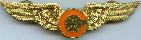 Знак Cach Pilot