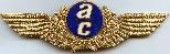 Знак Pilot