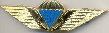 Знак Parachutist