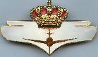 Знак Pilot