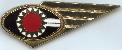 Знак Conair Cabin Crew