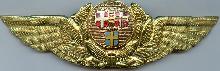 Знак SAS pilot