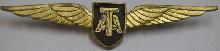 Знак Tasman Empire Airways Pilot