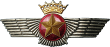 Знак Штурман 