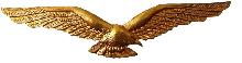 Знак Pilot