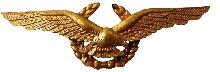 Знак Senior pilot