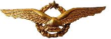 Знак Master pilot