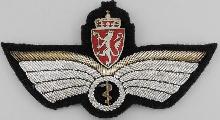 Знак Medical