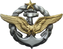 Знак Пилот морской авиации