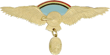 Знак Command pilot