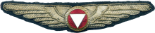 Знак Пилот 