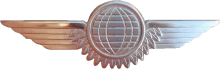 Знак Air crewman 2nd class