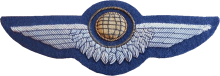 Знак Air crewman