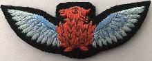 Знак Pilot