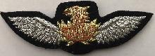 Знак Pilot
