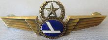 Знак Eastern airlines пилот
