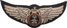Знак Пилот 