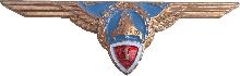 Знак Helicopter pilot 1st class
