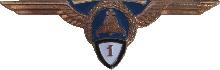 Знак Helicopter pilot 1st class