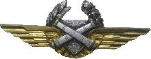 Знак Observer