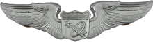 Знак Astronaut badge