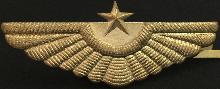 Знак ВВС