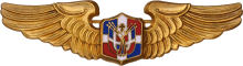 Знак Пилот 