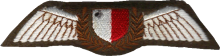 Знак Pilot