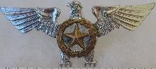 Знак Air Force