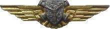 Знак Mechanician