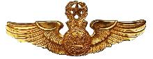 Знак Master pilot