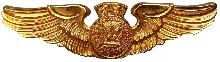 Знак Pilot