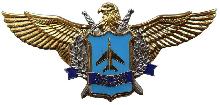 Знак Летчик-снайпер 
