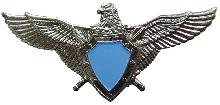Знак Летчик без класса 