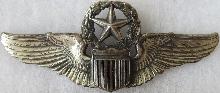 Знак Master pilot