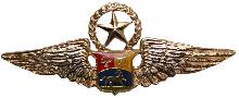 Знак Master pilot