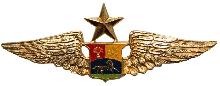 Знак Senior pilot