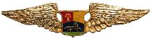 Знак Pilot