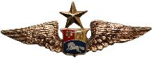 Знак Senior pilot