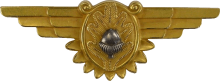 Знак Летающий военный врач Знак Летающий военный врач