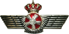Знак Technician