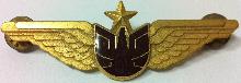 Знак EXPRESS AIRLINESEXPRESS AIRLINES