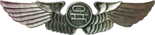 Знак Пилот