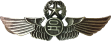Знак Master pilot