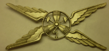 Знак Technician