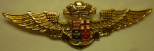 Знак Pilot